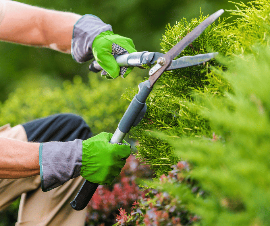 Outdoor Maintenance - SLM