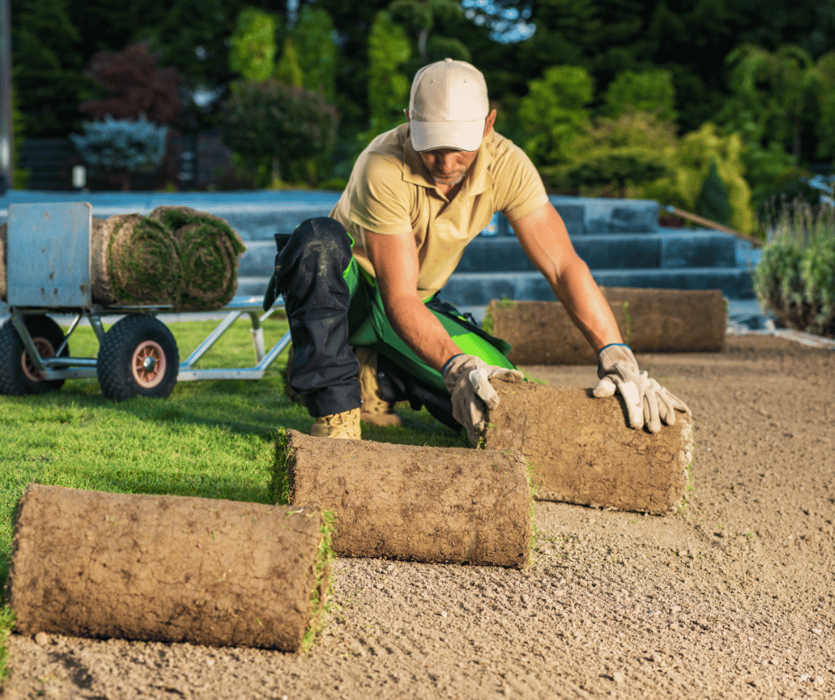 Landscaping - SLM